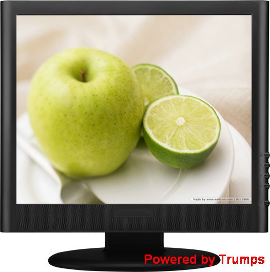 17-pouces HD LCD TV