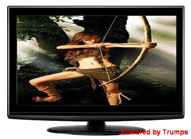 Visera de alta calidad TV LCD portátil ligera de 17 pulgadas
